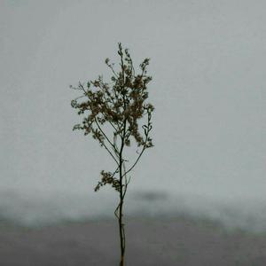 二次元美女18🚫隐私免费
