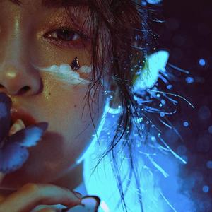 二次元美女18🚫隐私免费
