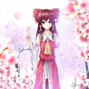 二次元美女18🚫隐私免费
